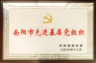2020年南阳市先进基层党组织