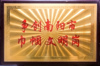 争创南阳市巾帼文明岗